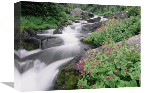 Global Gallery GCS-396995-1216-142 12 x 16 in. Paradise River Surround