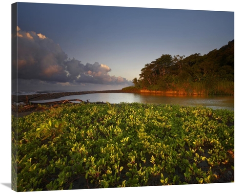 Global Gallery GCS-396494-36-142 36 in. Lagoon Near Coastline, Cor