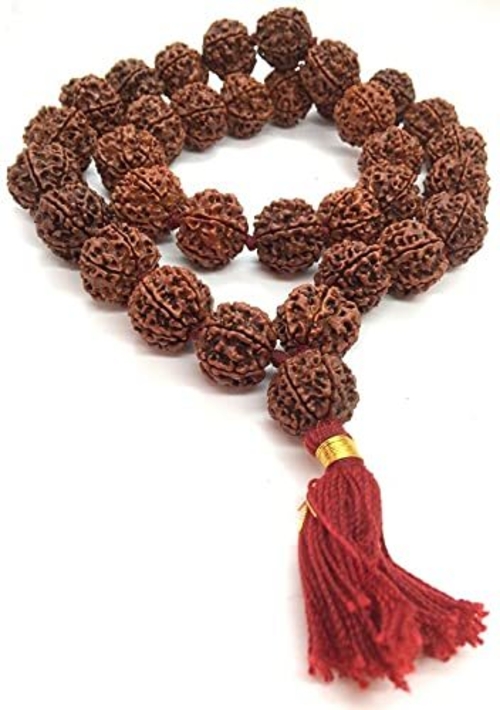 6 Six Mukhi Ruraksha Collector Mala- Collector 32 +1 Rudraksha Beads -