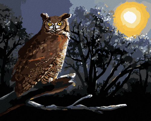 Zuty - Paint by Numbers - OWL SITTING ON A BRANCH AT NIGHT (D. RUSTY