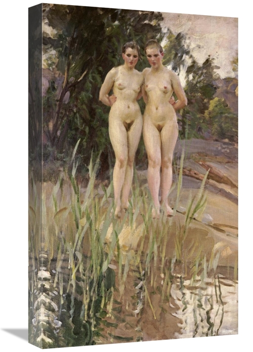 Global Gallery GCS-268695-22-142 22 in. Two Friends Art Print - Anders