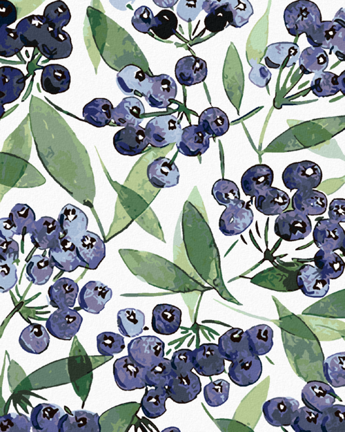 Paint by Numbers - BLUEBERRIES (ALEXANDRIA GILBERT)