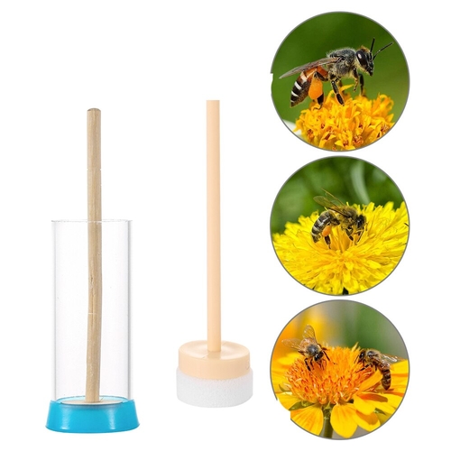 NEW Plastic Transparent Breathable Queen Bee