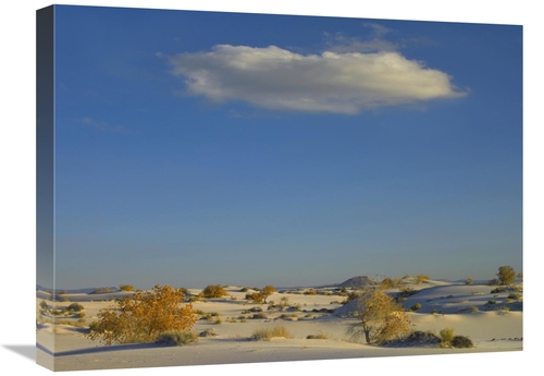 Global Gallery GCS-396813-1824-142 18 x 24 in. Cloud Over White Sands 