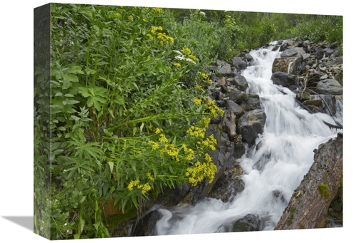 Global Gallery GCS-395985-1216-142 12 x 16 in. Creek Near Silverton&#4