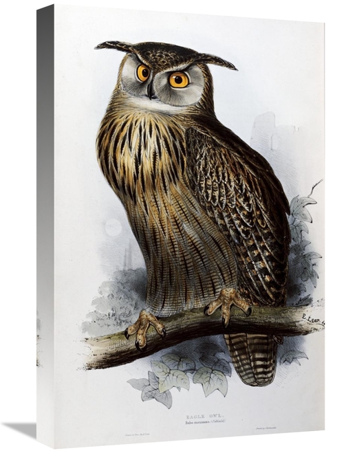 Global Gallery GCS-266416-22-142 22 in. Eagle Owl Art Print - John Gou
