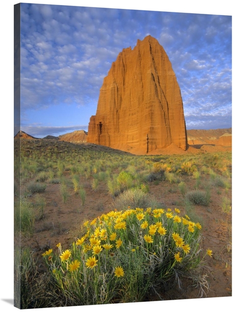 Global Gallery GCS-452165-3040-142 30 x 40 in. Common Sunflowers & Tem