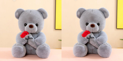 Plush Cute Teddy Bear with Rose Flower Pack of 2