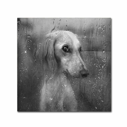 Trademark 1X00505-C1414GG 14 x 14 in. Autumn Canvas Art - Svetlana Mel