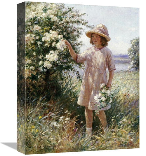 Global Gallery GCS-267745-16-142 16 in. Picking May Blossom Art Print 