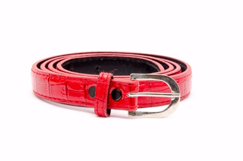 Stylish Women's Belt