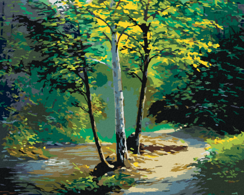 Paint by Numbers - BEAUTIFUL BIRCH TREE AND SMALL STREAM