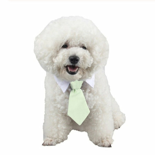 Cute Dog Collar & Tie VEASOON