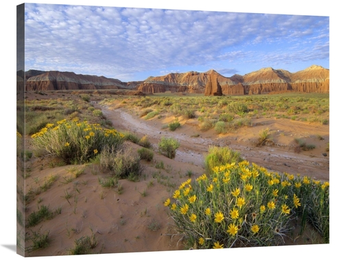 Global Gallery GCS-397086-2835-142 28 x 35 in. Wildflowers Growing Alo