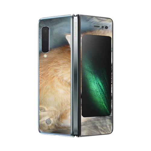 MightySkins SAGFO-Kittens Skin for Samsung Galaxy Fold - Kittens