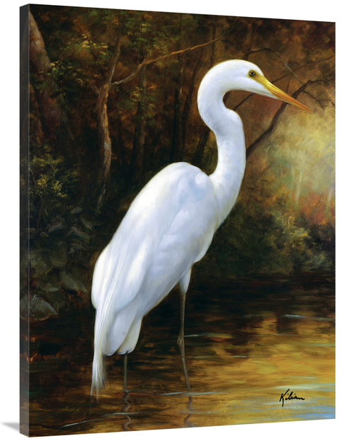 Global Gallery GCS-132467-3040-142 30 x 40 in. Evening Egret Art Print