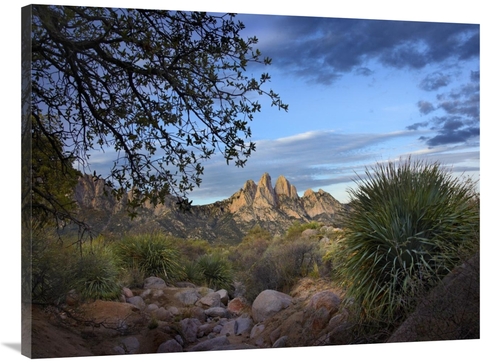 Global Gallery GCS-396177-3040-142 30 x 40 in. Organ Mountains Near La