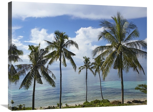 Global Gallery GCS-396586-2432-142 24 x 32 in. Coconut Palm Trees,