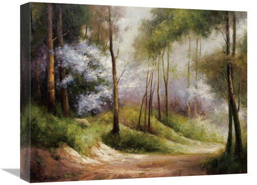 Global Gallery GCS-132487-1620-142 16 x 20 in. Fog Embraced Forest Art