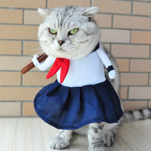 Funny Dog Cat Costumes High School Uniform Cosplay