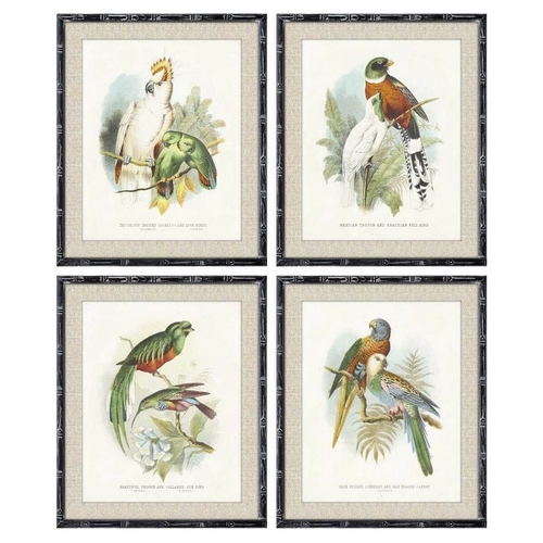 Painting DKD Home Decor 50 x 2 x 60 cm Birds Modern (4 Pieces)