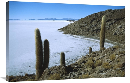 Global Gallery GCS-451631-2436-142 24 x 36 in. Salar De Uyuni Salt Pan