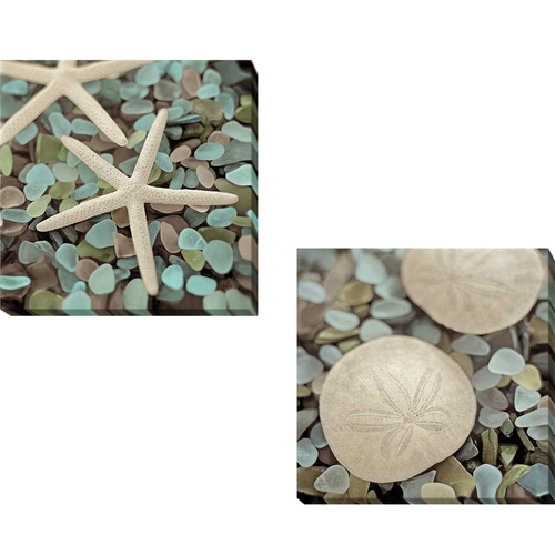 Artistic Home Gallery 1212B784IG Aquatic I & II by Alan Blaustein 2-Pi