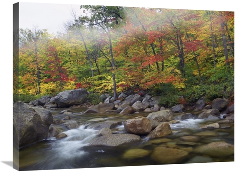 Global Gallery GCS-397129-2432-142 24 x 32 in. Swift River Flowing Thr