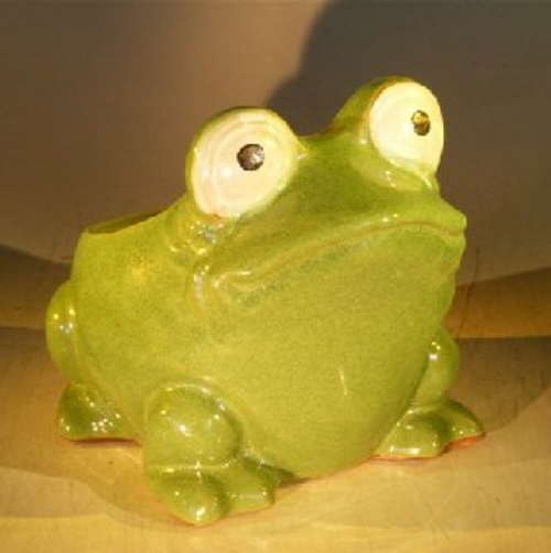 Green Frog Planter7.0" x 9.0" x 7.5"