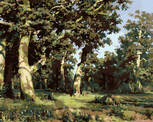 Paint by Numbers - Oak Grove (IVAN SHISHKIN)