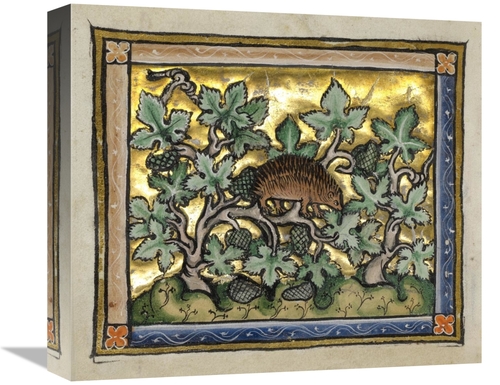 Global Gallery GCS-454752-16-142 16 in. A Hedgehog Art Print - Franco-