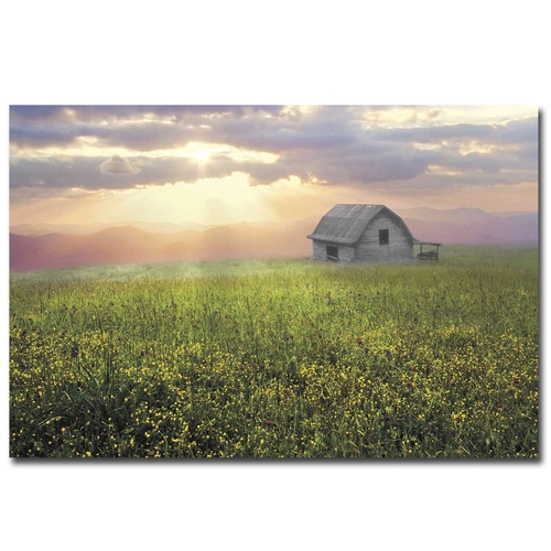 Artistic Home Gallery 2436I795CG Morning has Broken by Celebrate Life 
