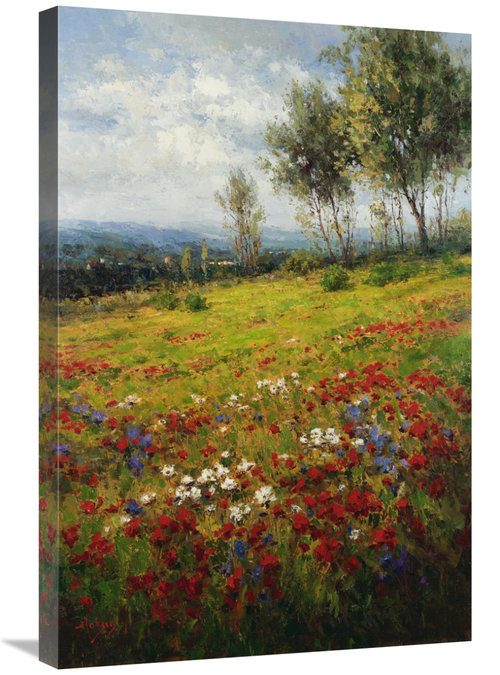 Global Gallery GCS-132427-2030-142 20 x 30 in. Wildflowers Art Print -