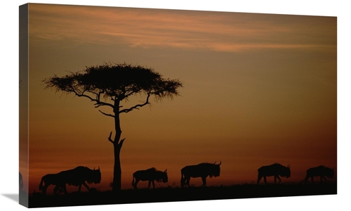 Global Gallery GCS-396264-30-142 30 in. Blue Wildebeest Herd Migrating