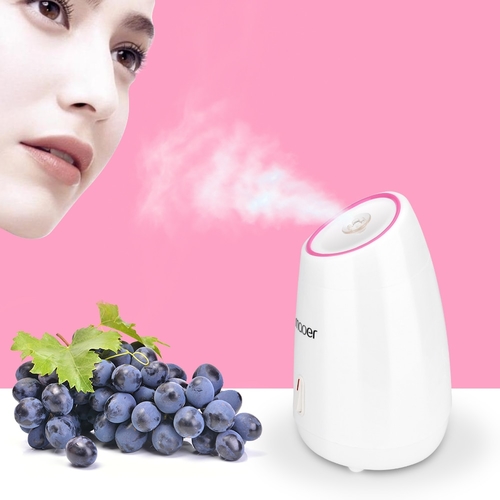 Facial Steamer DIY Fruit Steam Sprayer Beauty