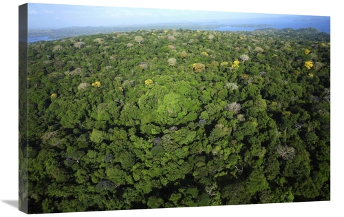 Global Gallery GCS-398546-2030-142 20 x 30 in. Aerial VIew of the Cana