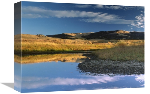 Global Gallery GCS-396717-1216-142 12 x 16 in. Absaroka Range & Slough