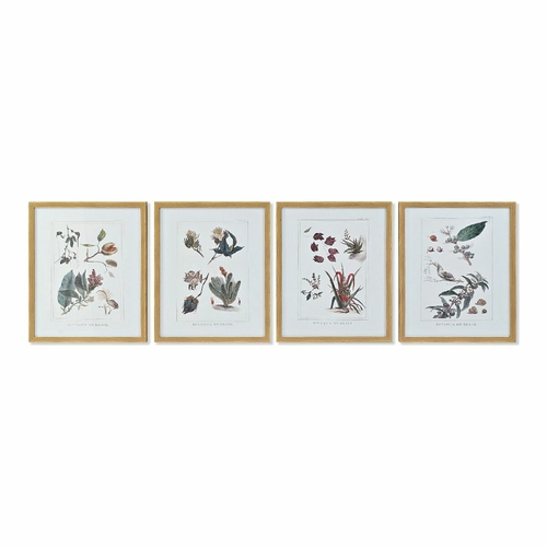 Painting DKD Home Decor 43 x 3 x 53 cm Botanical plants (4 Pieces)