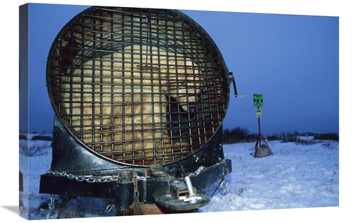 Global Gallery GCS-452632-2030-142 20 x 30 in. Polar Bear in Bear Trap