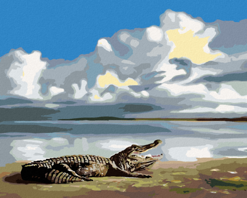 Zuty - Paint by Numbers - LYING ALLIGATOR AND THE SKY (D. RUSTY RUST),