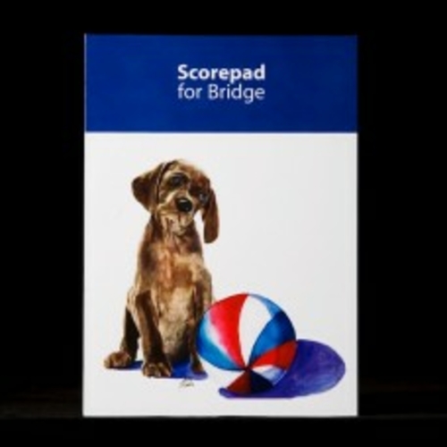 Rainbow Card Company BSP-800SAL5 Bridge Score Pads Sammy -5 Pack