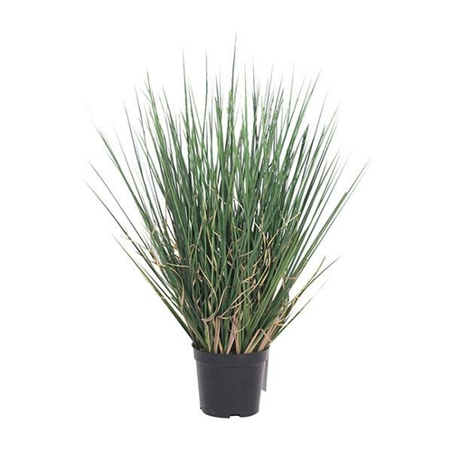 Grass In Plastic Pot 55cm