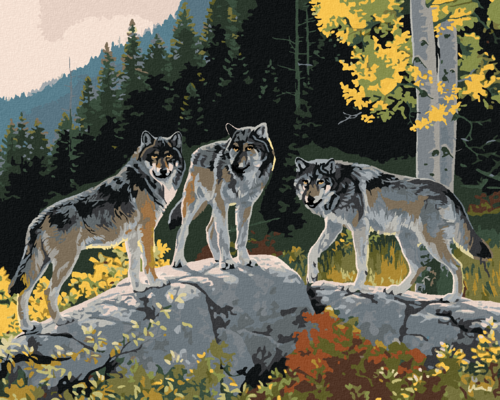 Zuty - Paint by Numbers - WOLVES ON A BOULDER AND A FOREST (AL AGNEW),