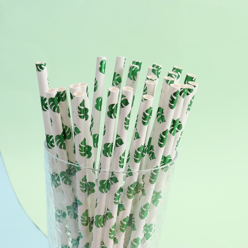 25PCS  Disposable Paper Straws Cactus Illustration