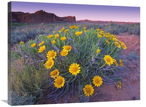 Global Gallery GCS-452218-2432-142 24 x 32 in. Sunflowers & Buttes,