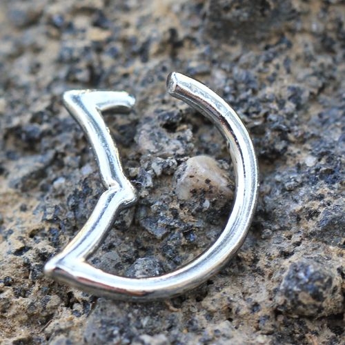 316L Stainless Steel Annealed Dolphin Tale Ring