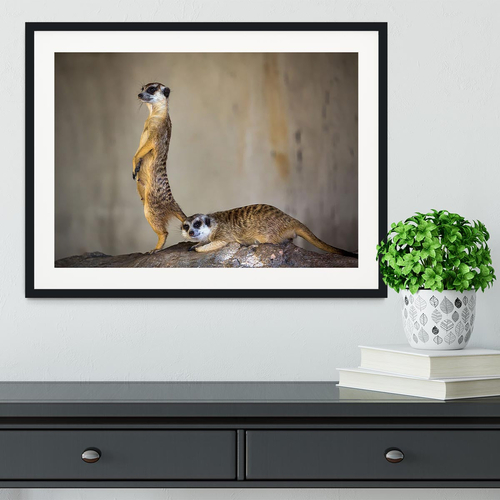 Meer Kat lifeguard stand Framed Print