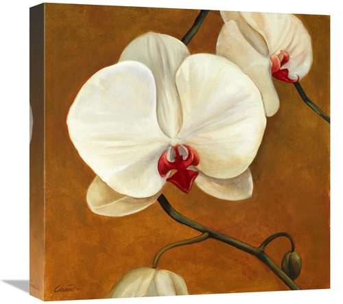 Global Gallery GCS-137412-1818-142 18 x 18 in. Orquideas Blancas II Ar