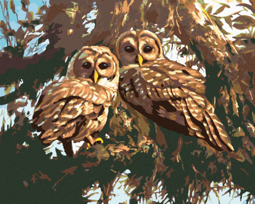 Zuty - Paint by Numbers - OWLS IN A TREE (D. RUSTY RUST), 40x50 cm