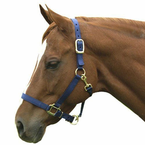 Horse & Livestock Prime 1ZAS811NY Premium Horse Halter Chin with Snap 